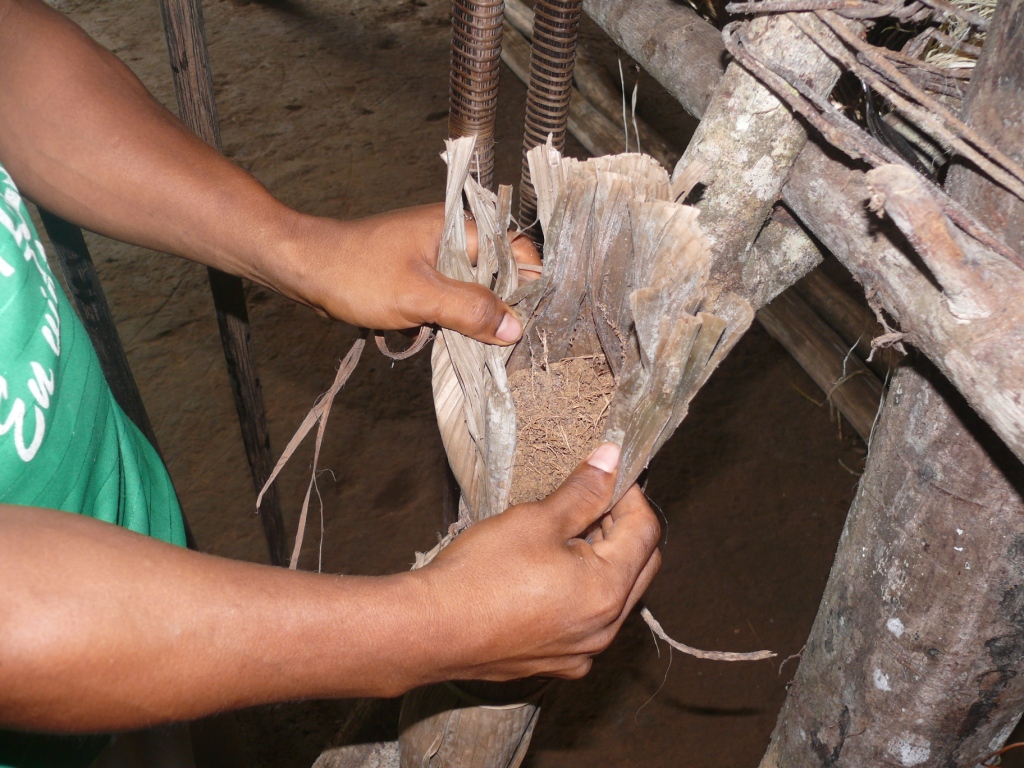 Yasuni - Huaoran - copyright Save America's Forestsi